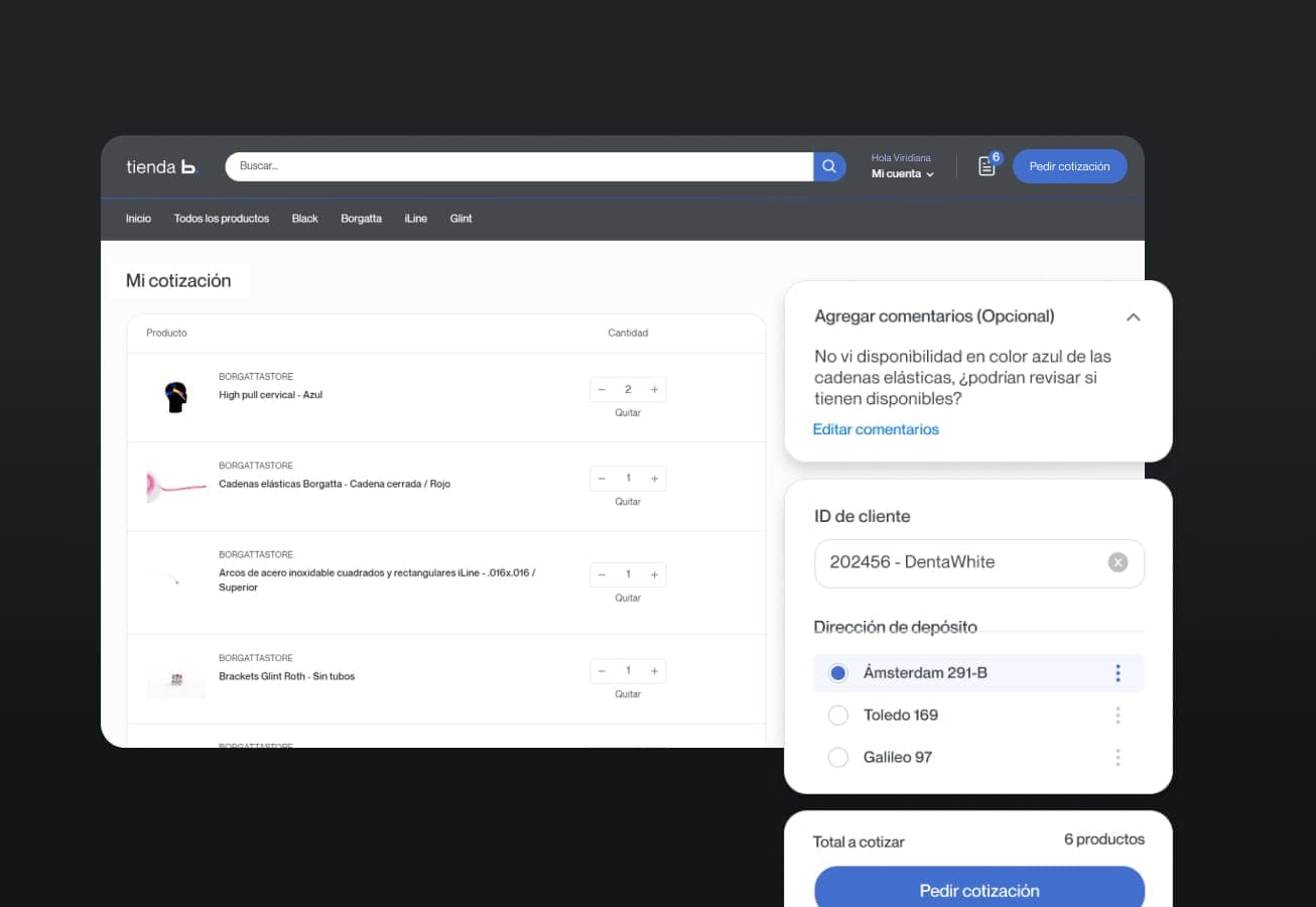 portal de clientes B2B